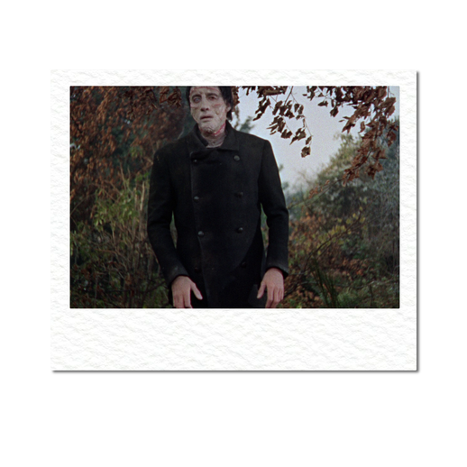 От классических фильмов Джеймса Уэйла до Гильермо Дель Торо: как менялся образ Франкенштейна на экране (фото 39)