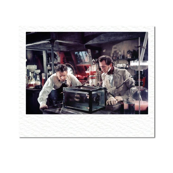 От классических фильмов Джеймса Уэйла до Гильермо Дель Торо: как менялся образ Франкенштейна на экране (фото 43)