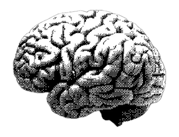 От классических фильмов Джеймса Уэйла до Гильермо Дель Торо: как менялся образ Франкенштейна на экране (фото 74)