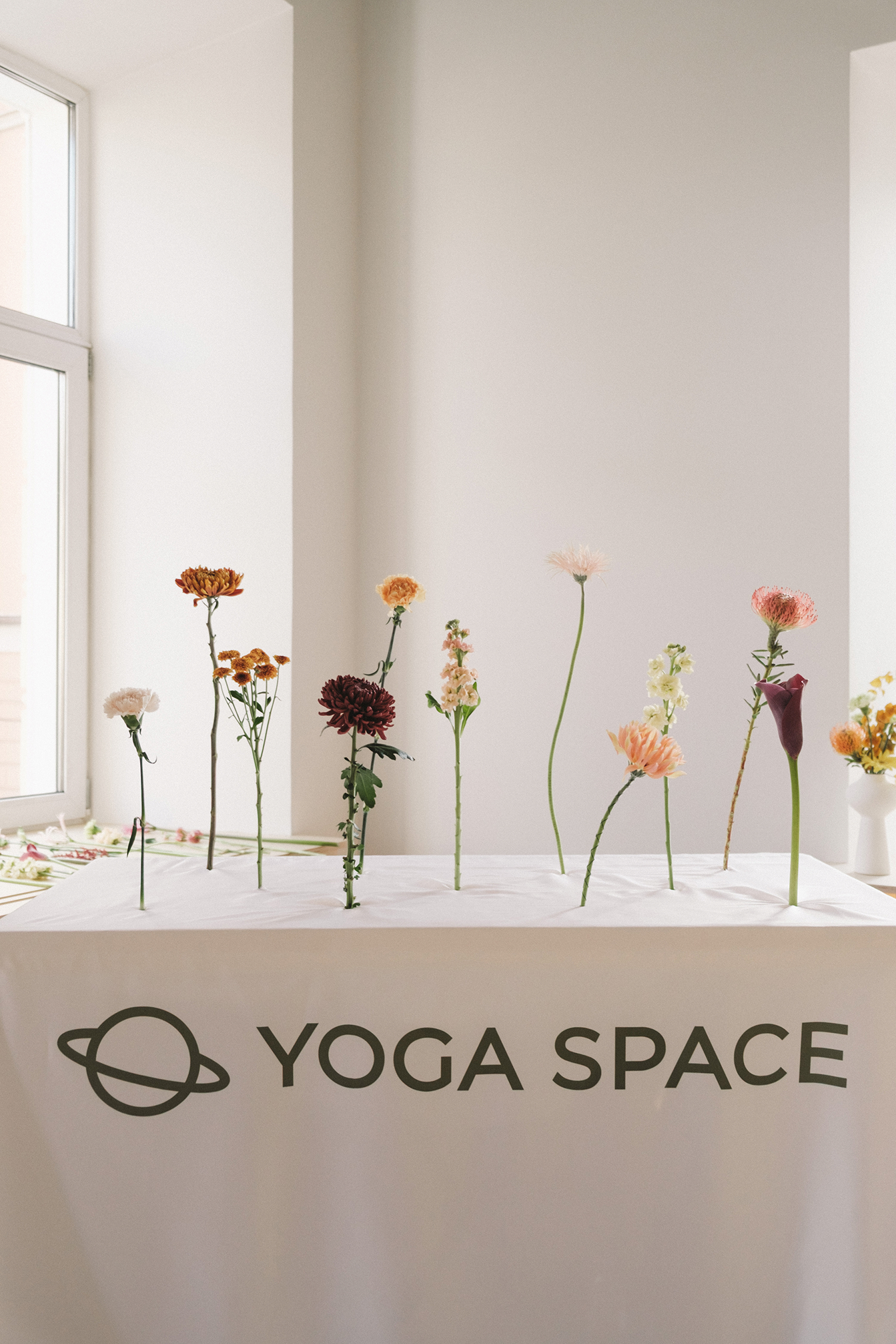 Маршрутный лист: филиал московской студии Yoga Space в Санкт-Петербурге (фото 8)