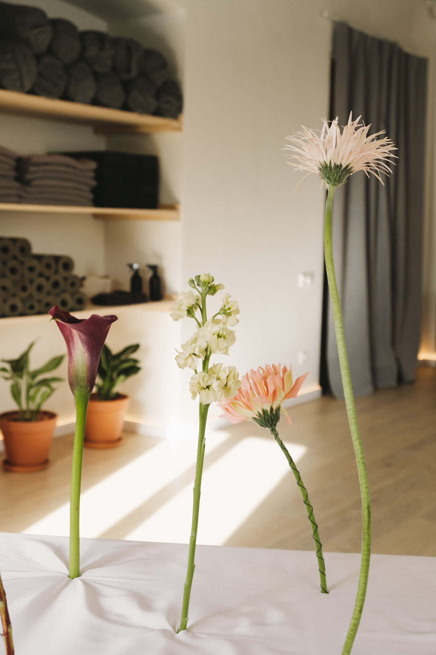 Маршрутный лист: филиал московской студии Yoga Space в Санкт-Петербурге (фото 14)