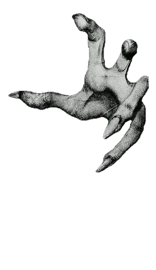 От «Носферату» до «Сумерек»: как менялись образы вампиров в кинематографе (фото 20)