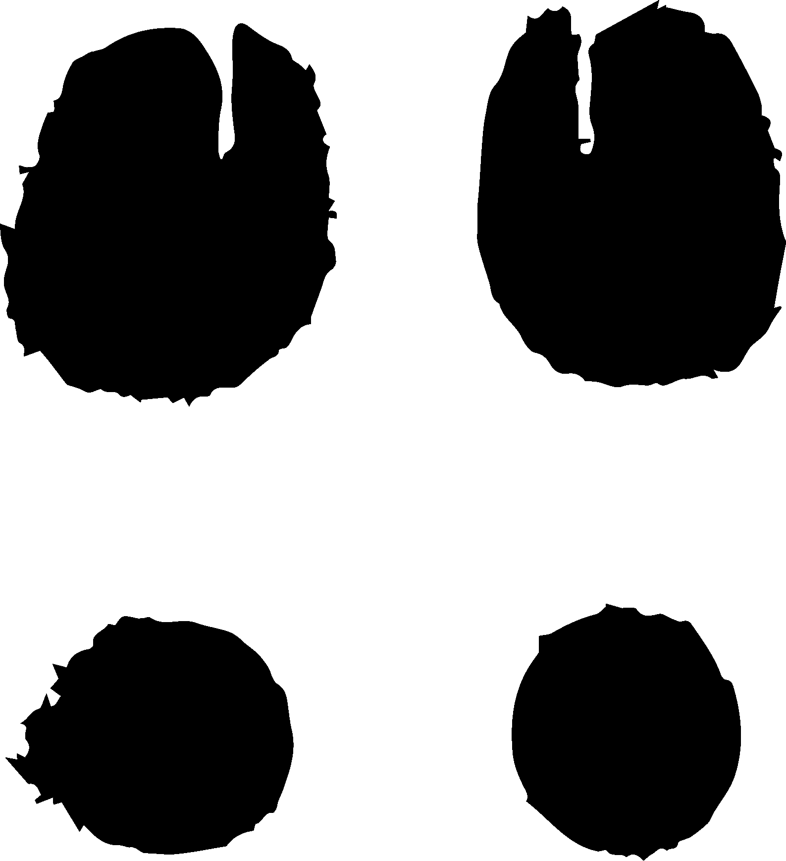 От Мартина Маржелы до Гленна Мартенса: в чем феномен бельгийских дизайнеров (фото 48)