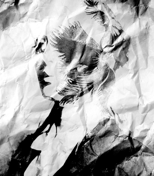 От Мартина Маржелы до Гленна Мартенса: в чем феномен бельгийских дизайнеров (фото 56)