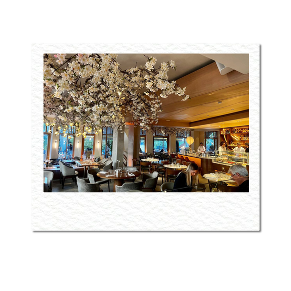 «Такахули» вместо Lou Lou: почему на Патриарших прудах массово закрываются рестораны (фото 11)