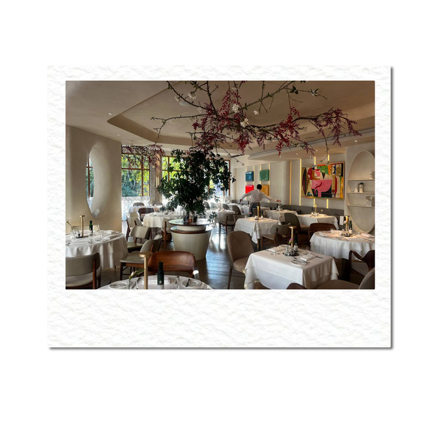 «Такахули» вместо Lou Lou: почему на Патриарших прудах массово закрываются рестораны (фото 13)