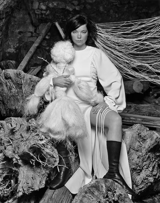 Клипы как современное искусство и альбомы как целая вселенная: за что мы любим Бьорк (фото 15)