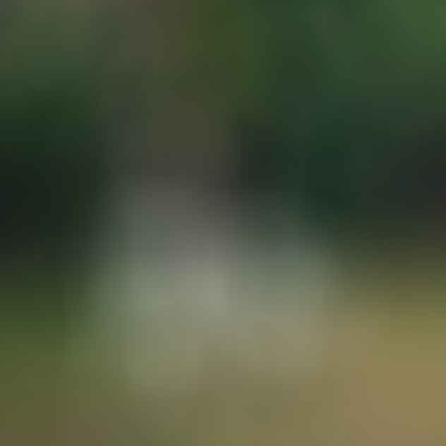 «Mayhem» Леди Гаги и «Lux» Розалии: лучшие альбомы 2025. Выбор BURO. (фото 19)