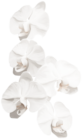 Неогурманика, вишня и немного зелени: парфюмерные итоги 2025 года (фото 4)