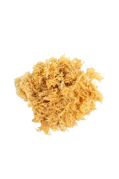 Неогурманика, вишня и немного зелени: парфюмерные итоги 2025 года (фото 36)