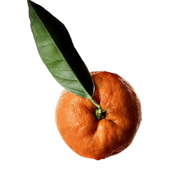 Неогурманика, вишня и немного зелени: парфюмерные итоги 2025 года (фото 27)