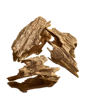 Неогурманика, вишня и немного зелени: парфюмерные итоги 2025 года (фото 10)