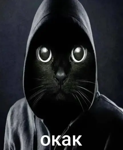 Окак! Интернет-тренды и мемы, которыми запомнилась вторая половина 2025-го (фото 58)