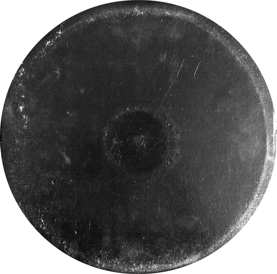 Rose In Harlem: феномен Тияны Тейлор — певицы, активистки и актрисы (фото 2)