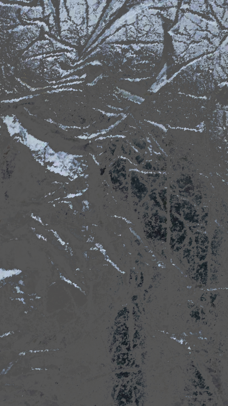 Rose In Harlem: феномен Тияны Тейлор — певицы, активистки и актрисы (фото 4)