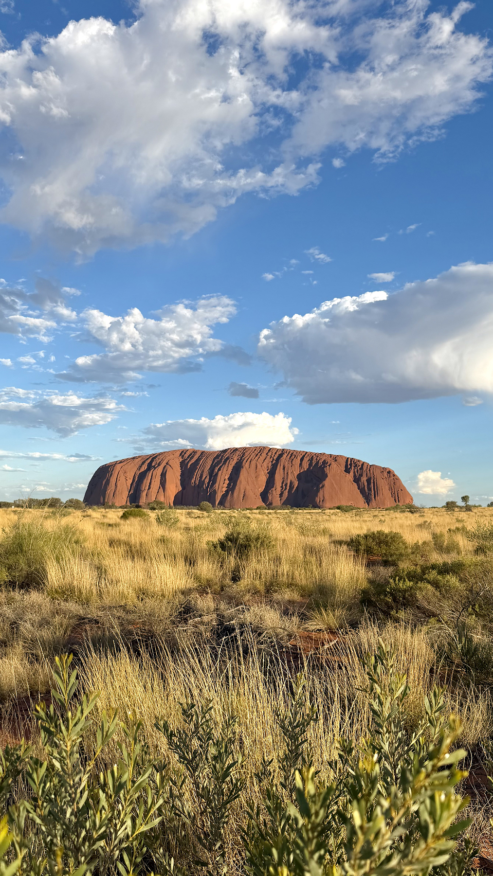 Новая точка на карте. Страна Оз — Австралия (фото 34)