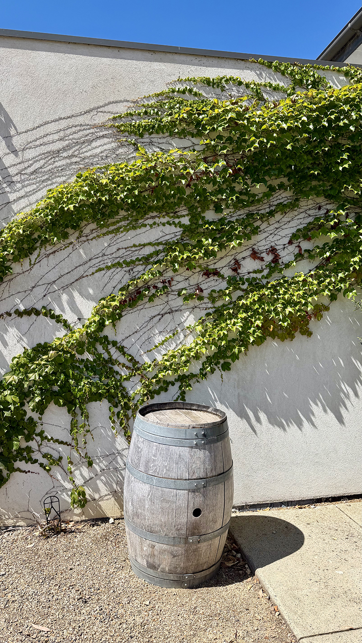 Новая точка на карте. Страна Оз — Австралия (фото 24)