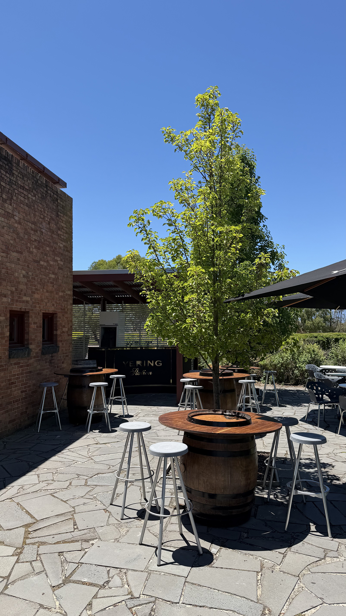 Новая точка на карте. Страна Оз — Австралия (фото 17)