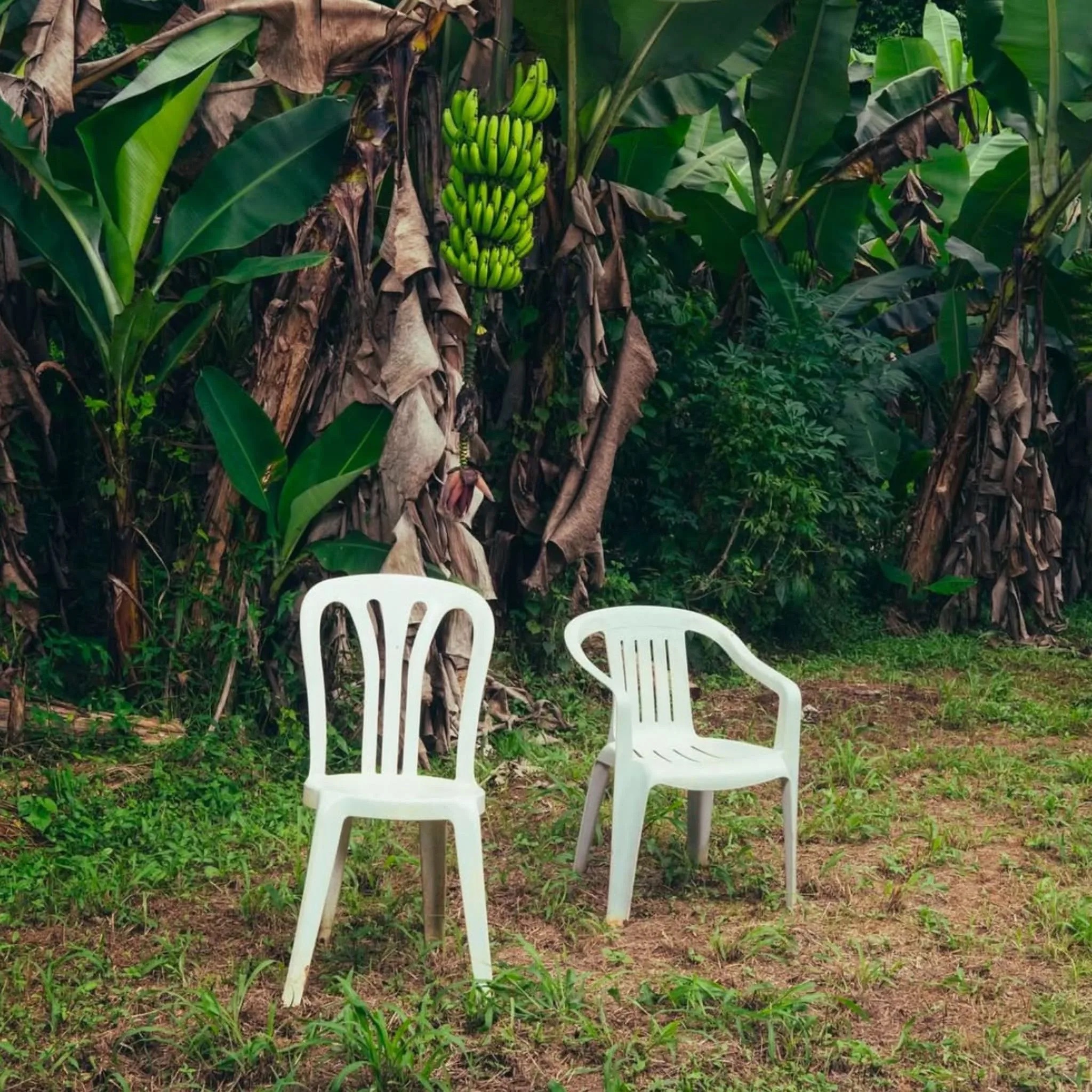 Адель, Бейонсе и Тейлор Свифт: все победители «Грэмми» в категории «Альбом года» за последние 25 лет (фото 67)