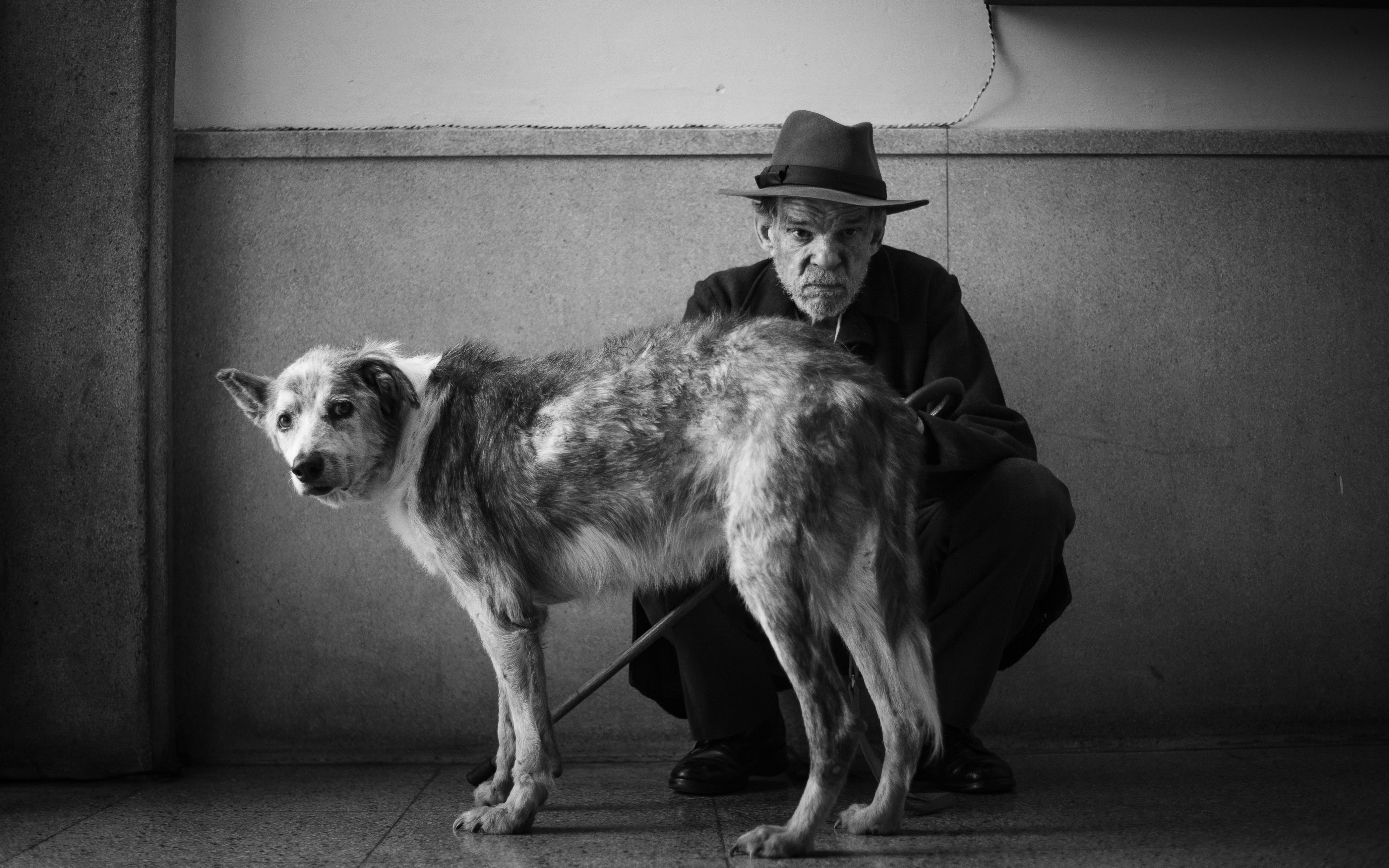 «Открыться ласковому равнодушию мира»: о чем «Посторонний» Франсуа Озона говорит со зрителем (фото 18)