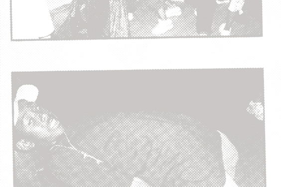 Билли Миллиган американской сцены: что нужно знать о Tyler, The Creator (фото 8)