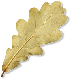 Что положить в косметичку: 8 уходовых средств на все случаи жизни (фото 18)