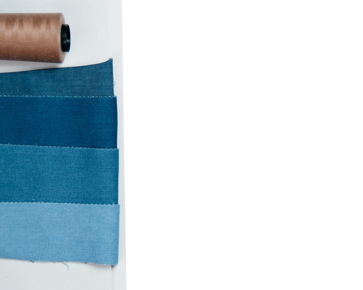 Итальянское происхождение и джинсы Bottom Up: что нужно знать о бренде Liu Jo (фото 7)