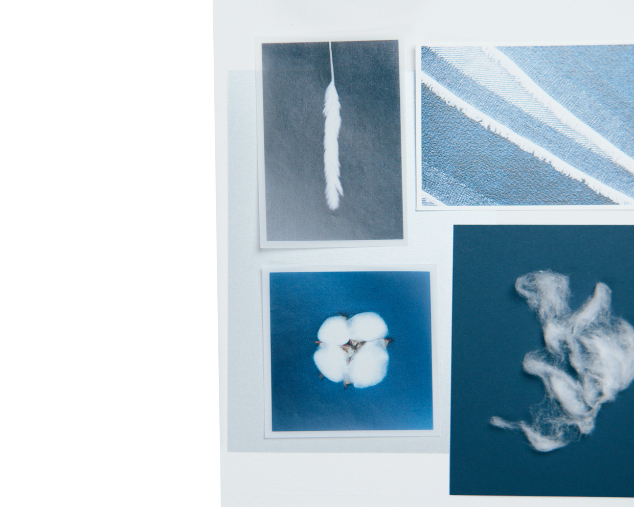 Итальянское происхождение и джинсы Bottom Up: что нужно знать о бренде Liu Jo (фото 8)