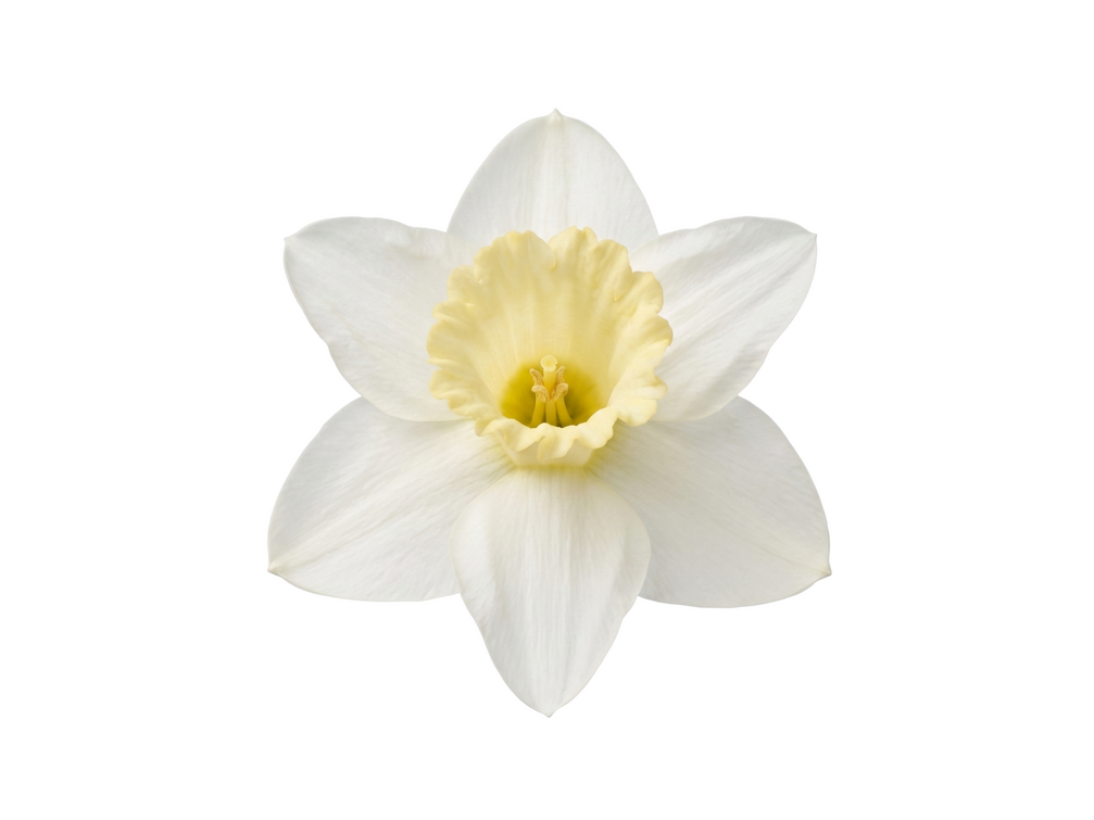 В центре кадра: лица весенней кампании «Технопарка». Люди, которые определяют имидж бренда (фото 16)