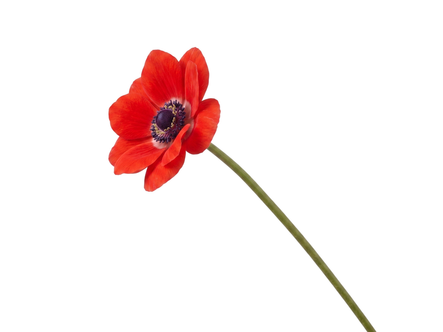 В центре кадра: лица весенней кампании «Технопарка». Люди, которые определяют имидж бренда (фото 4)