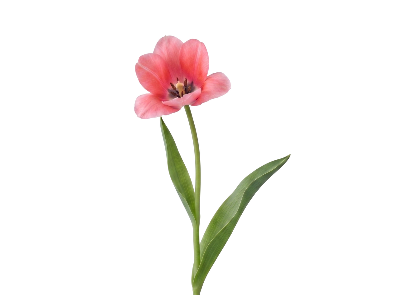 В центре кадра: лица весенней кампании «Технопарка». Люди, которые определяют имидж бренда (фото 7)