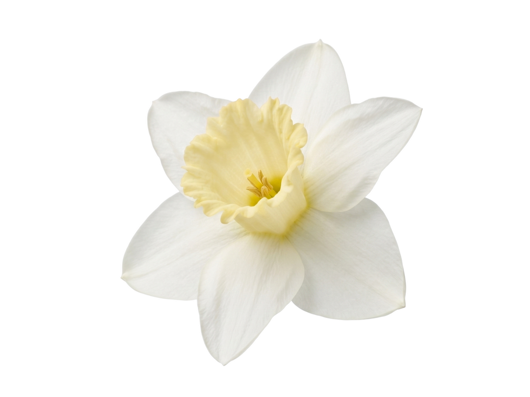 В центре кадра: лица весенней кампании «Технопарка». Люди, которые определяют имидж бренда (фото 17)