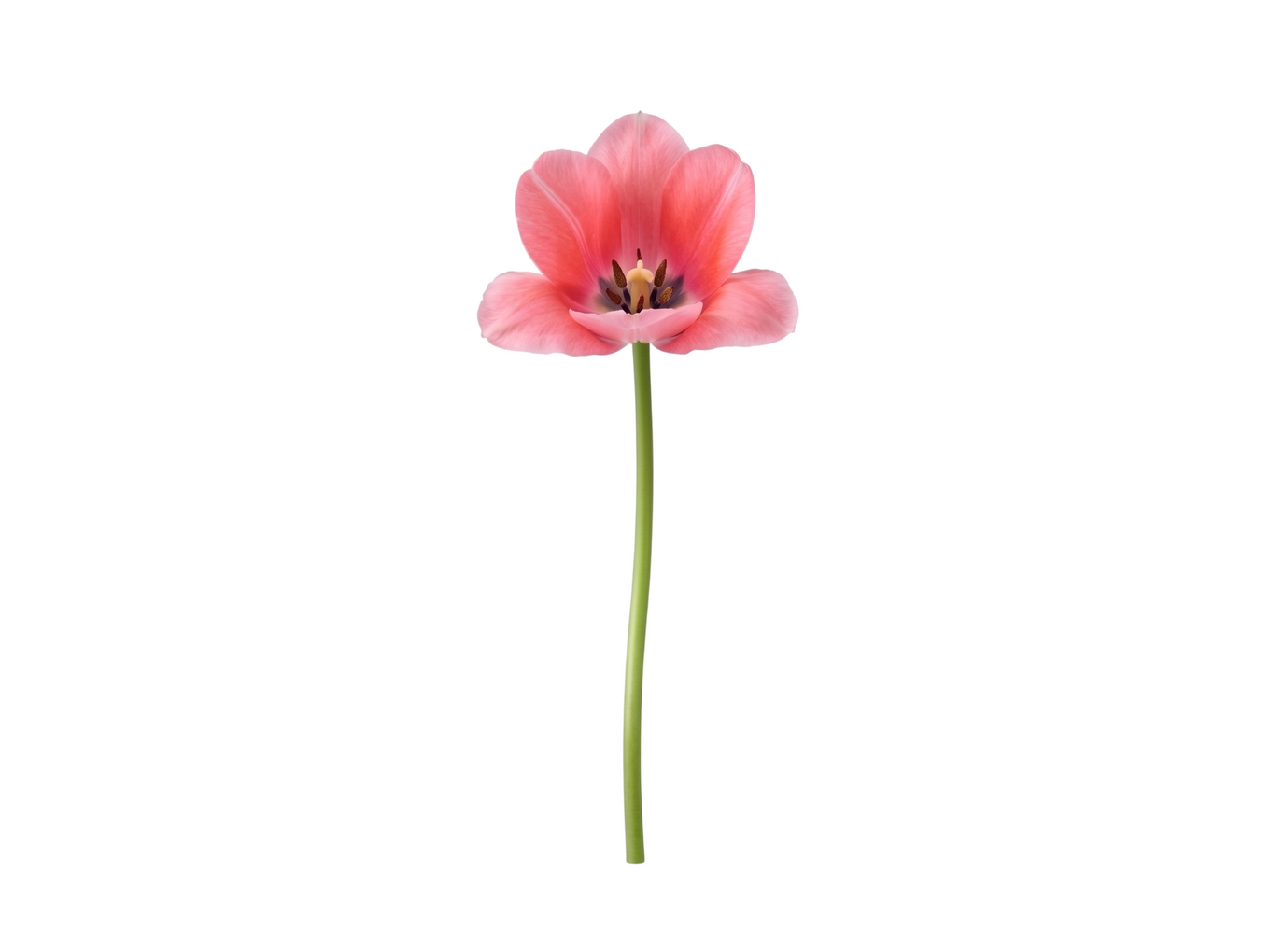 В центре кадра: лица весенней кампании «Технопарка». Люди, которые определяют имидж бренда (фото 1)