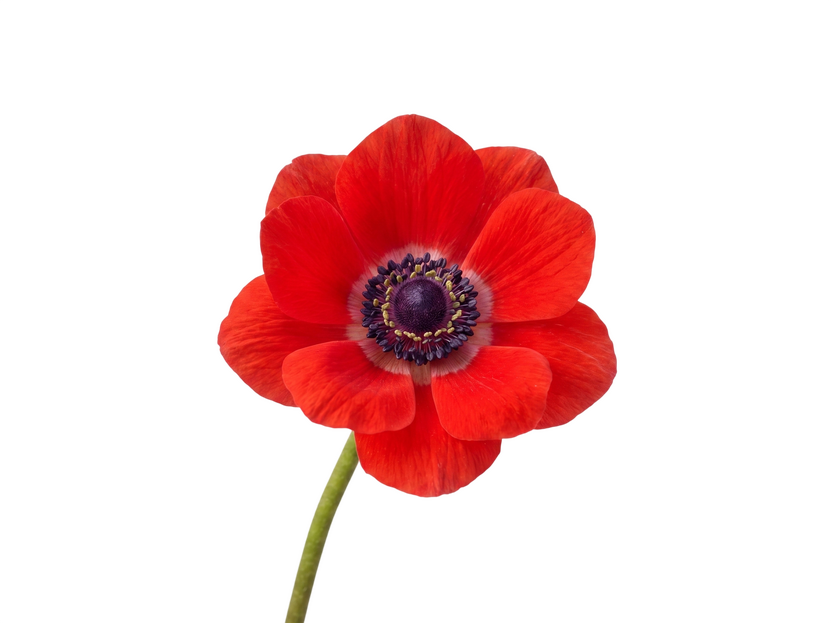 В центре кадра: лица весенней кампании «Технопарка». Люди, которые определяют имидж бренда (фото 12)