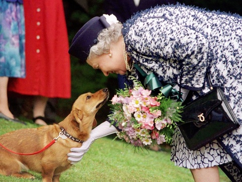 «Как бы ни темна была смерть, свет и жизнь сильнее»: 20 цитат Елизаветы II о любви и будущем (фото 24)