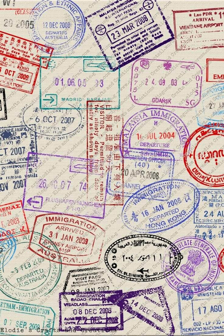 Дорожные сумки и чемоданы на все случаи жизни. Вот 15 таких — и все от российских брендов (фото 1)