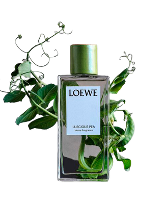 Loewe — 180! Вспоминаем главные вехи в истории испанского бренда (фото 27)