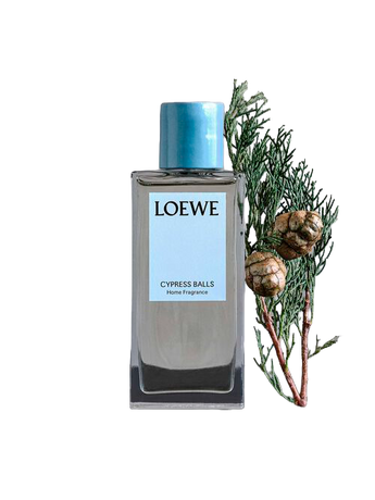 Loewe — 180! Вспоминаем главные вехи в истории испанского бренда (фото 26)