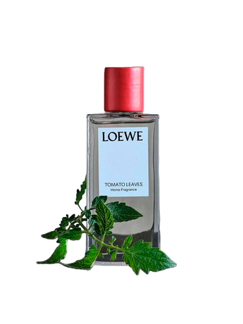Loewe — 180! Вспоминаем главные вехи в истории испанского бренда (фото 28)