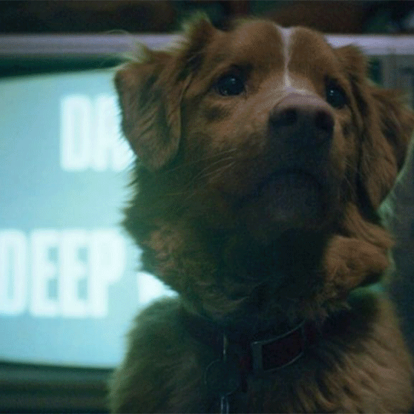 Больше, чем страх: пять умных и тонких хорроров, вышедших в 2025 году