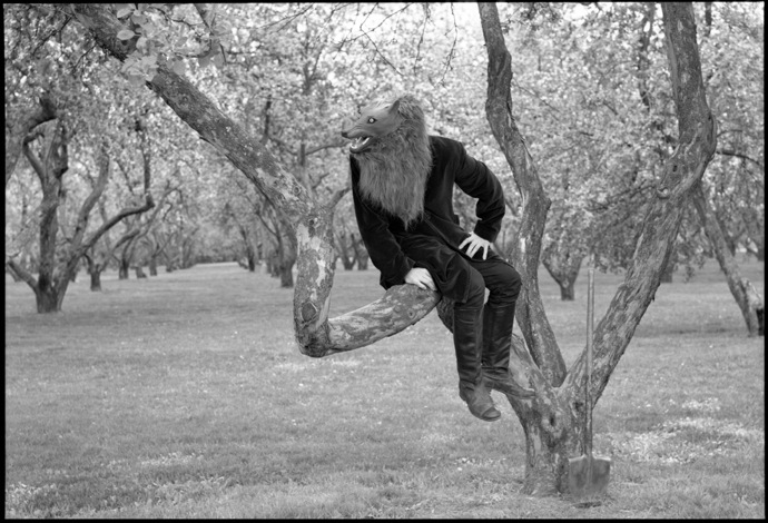 "Египетская стая" в галерее "Победа" (фото 4)