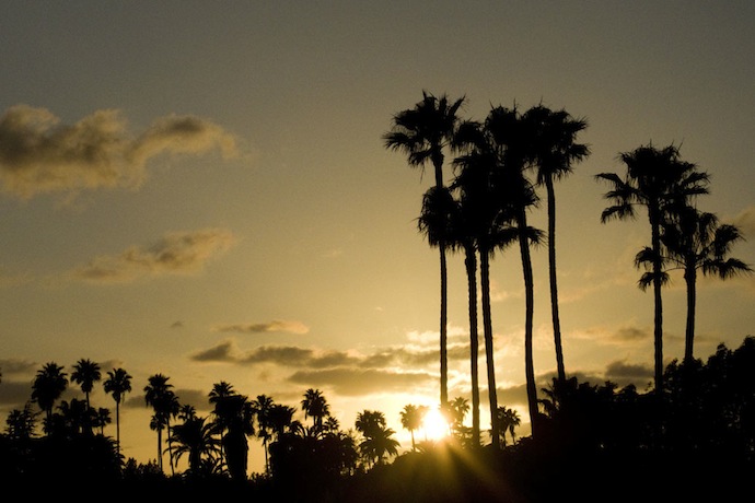 Выставка Terrywood Терри Ричардсона (фото 8)