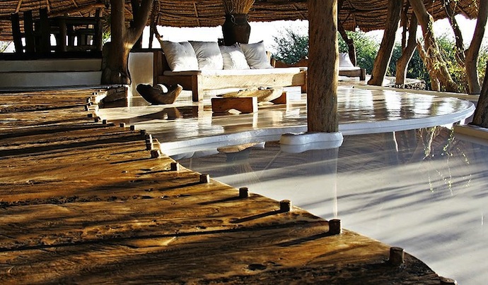 Роскошный отдых в африканской саванне (фото 12)