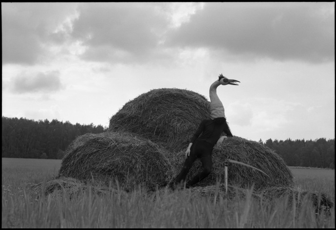 "Египетская стая" в галерее "Победа" (фото 2)