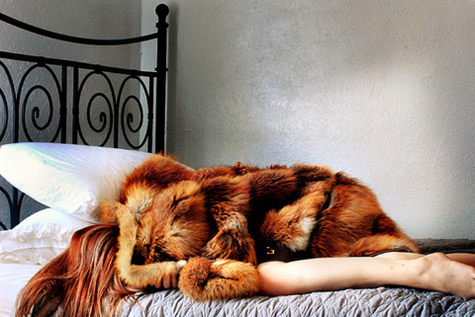 Лисий мех (фото 21)