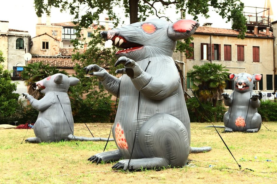 Лекции об искусстве в Новой Голландии (фото 1)