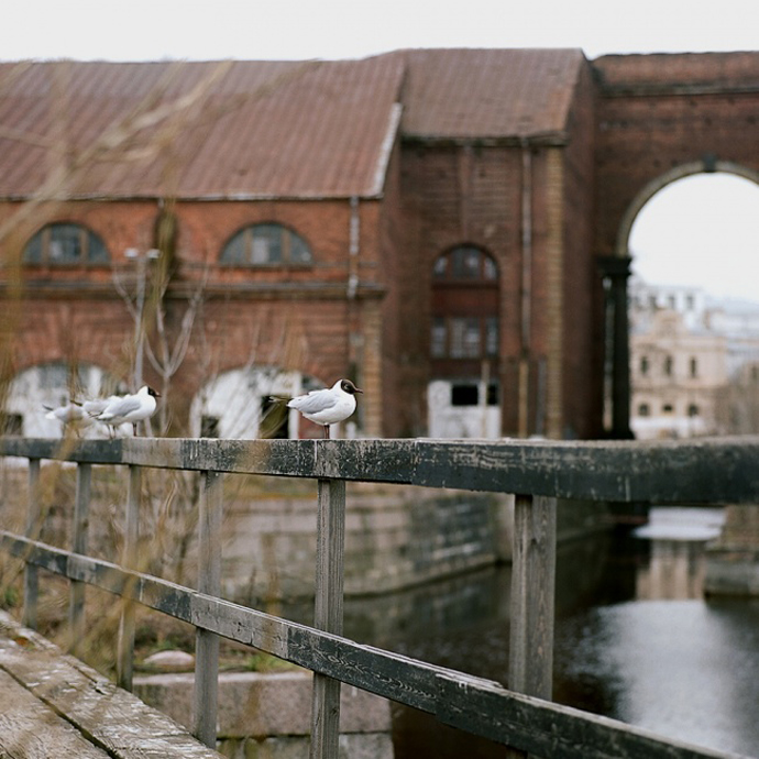 Тайны Новой Голландии раскрыты! (фото 2)