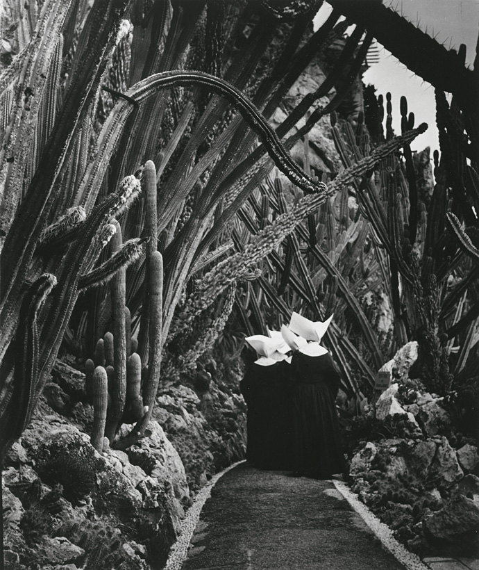 Ретроспектива Брассая в МАММ (фото 2)