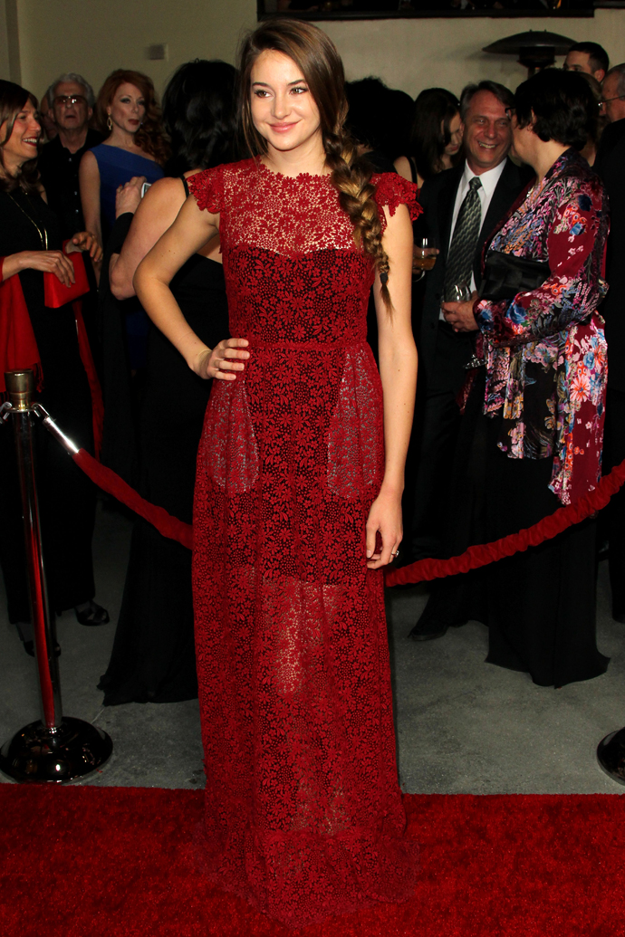 Премия гильдии режиссеров (фото 2)