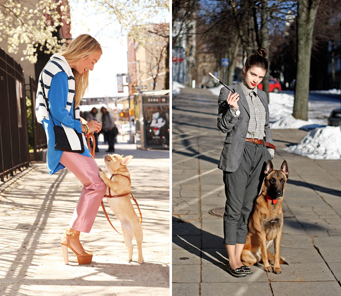 дама с собакой. брюки с собачкой высокие. "дама с собачкой". «дама с собачкой» (1868) шишкина. фамилия дамы с собачкой.